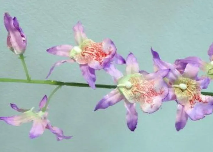 La Palmita Mit Meerblick By Interhome Сasa de vacaciones